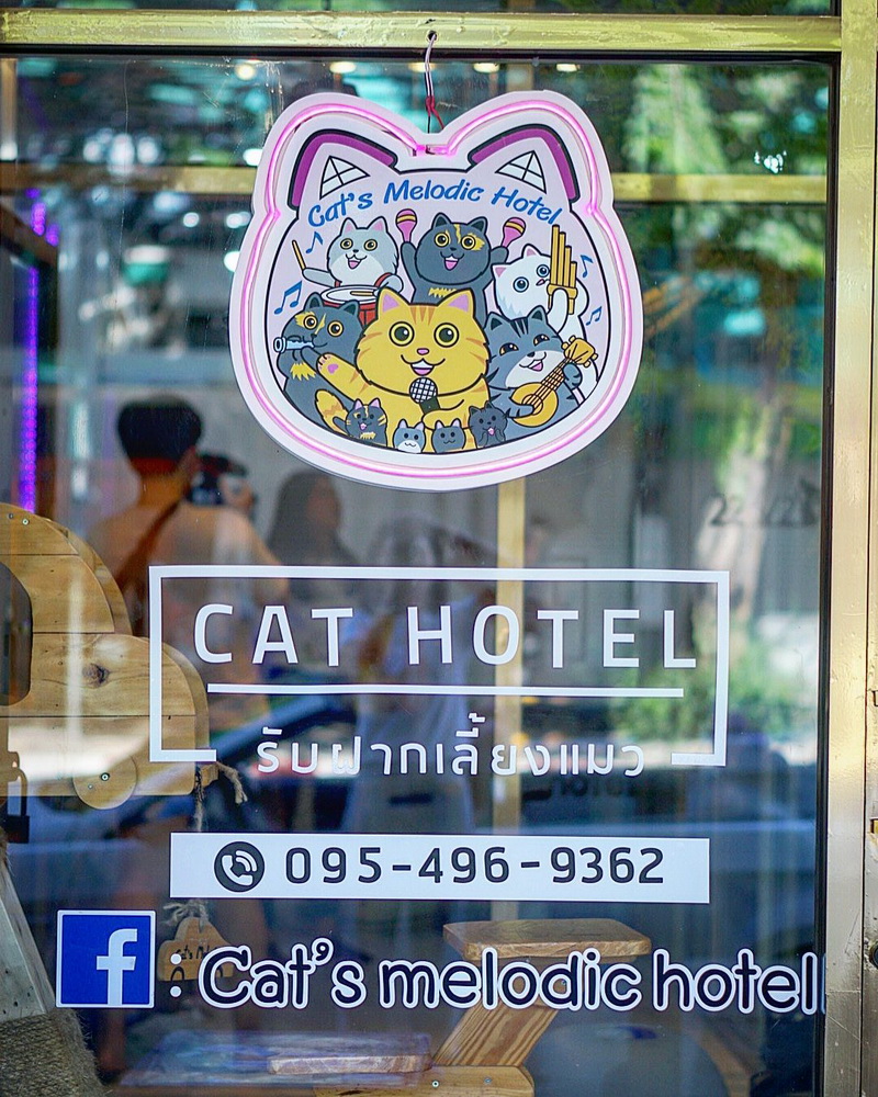 https://www.catsmelodichotel.com/wp-content/uploads/2019/12/1575009441887-800.jpg